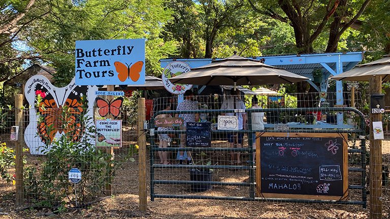 https://ik.imgkit.net/3vlqs5axxjf/TAW/ik-seo/uploadedImages/All_Gateways/Hawaii/Features/MauiButterflyFarm_Tour/A-45-minute-farm-tour-includes-fascinating-facts-a.jpg?tr=w-768%2Ch-432%2Cfo-auto