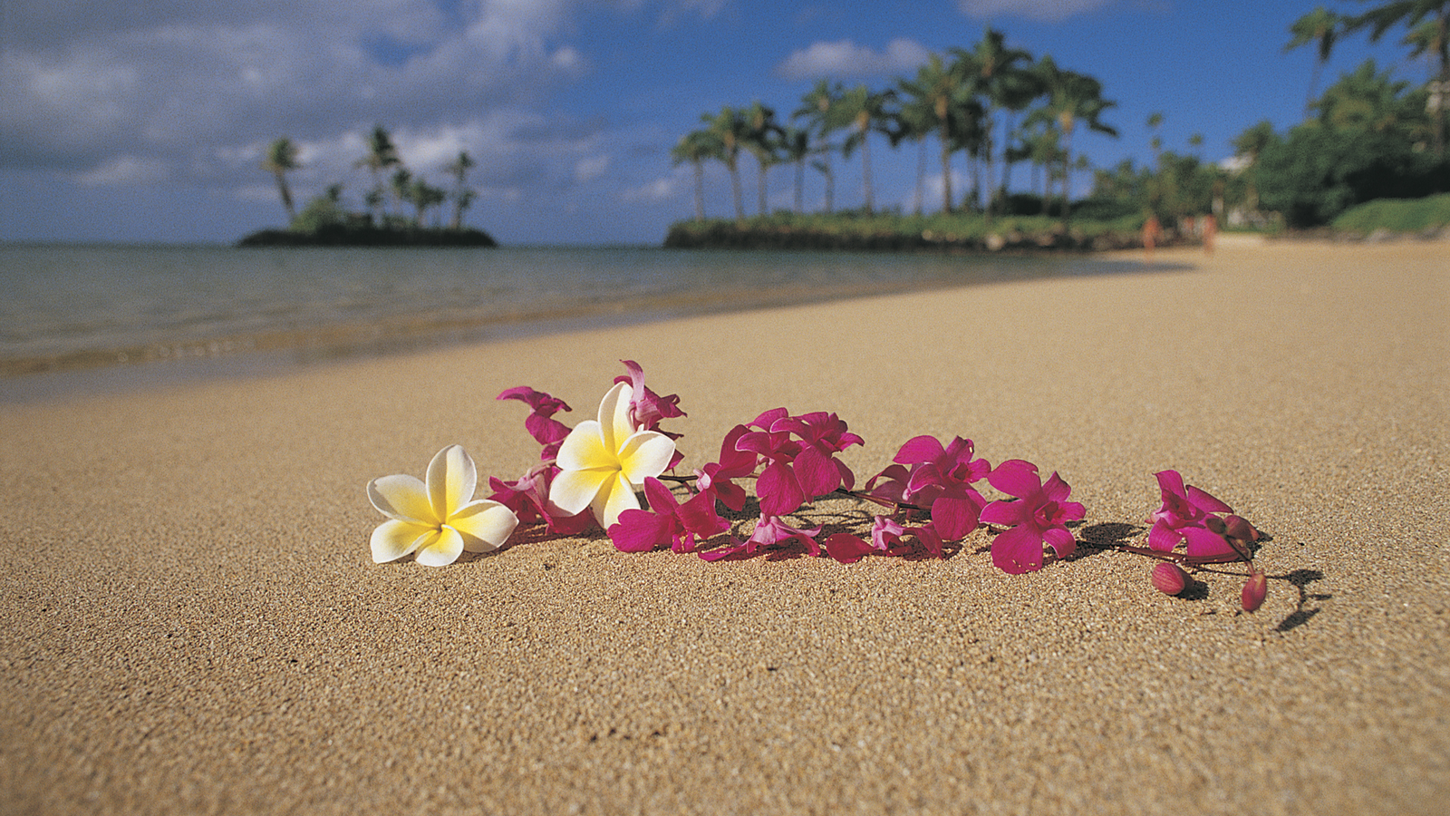 
Oʻahu on a Budget:
Flights, Hotels, Food & Hidden Gems