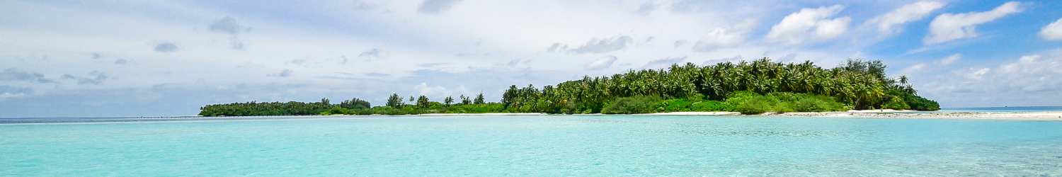 Travel-Dealsaver-about-banner